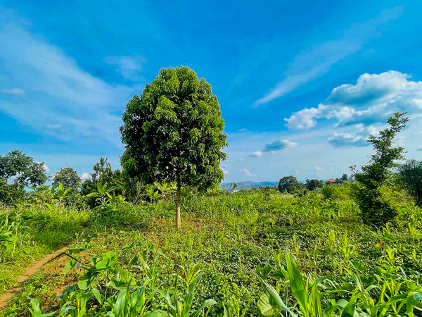 PLOT FOR SALE IN GAHANGA, KIGALI